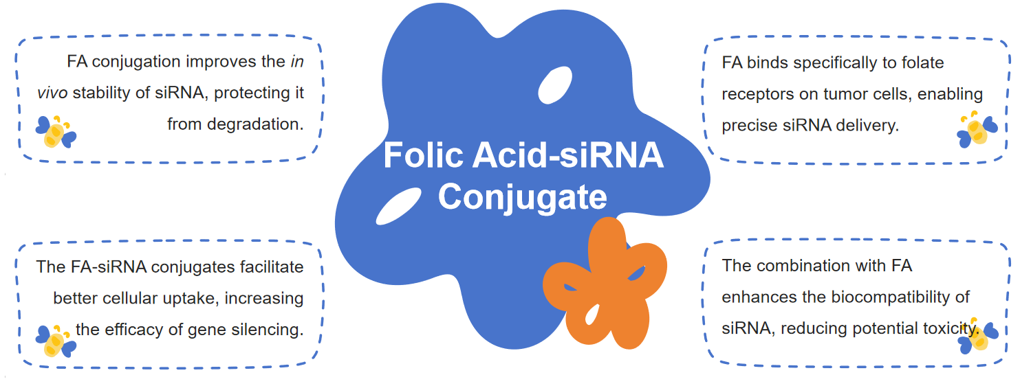 Fig.1 Advantages of FA-siRNA conjugates.