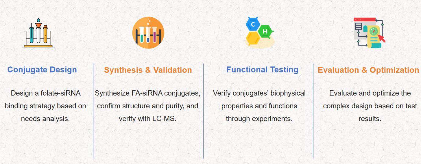 Fig.2 Development flowchart of FA-siRNA conjugates.