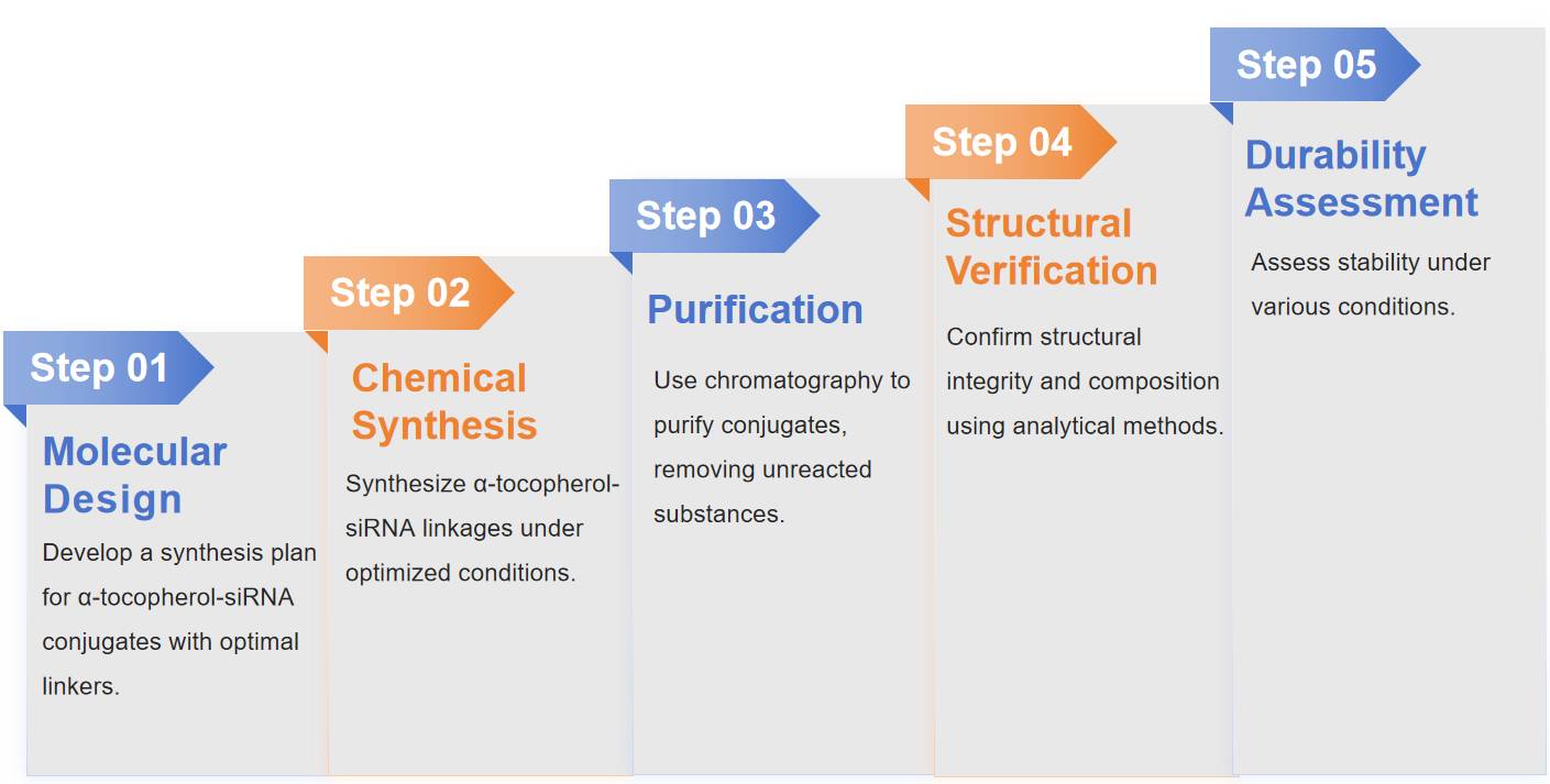 Fig.1 Development flowchart of α-tocopherol conjugates. 