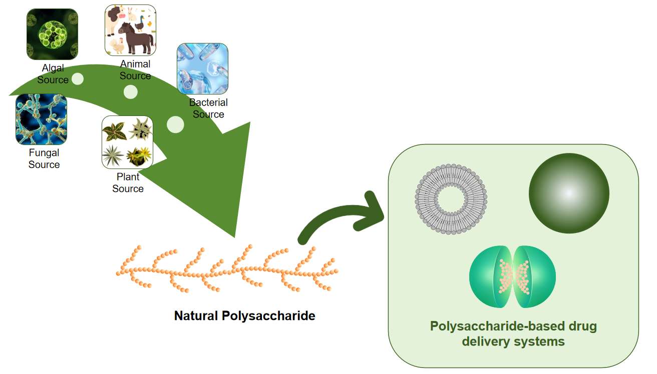 Fig.1 Overview of Natural Polysaccharides.