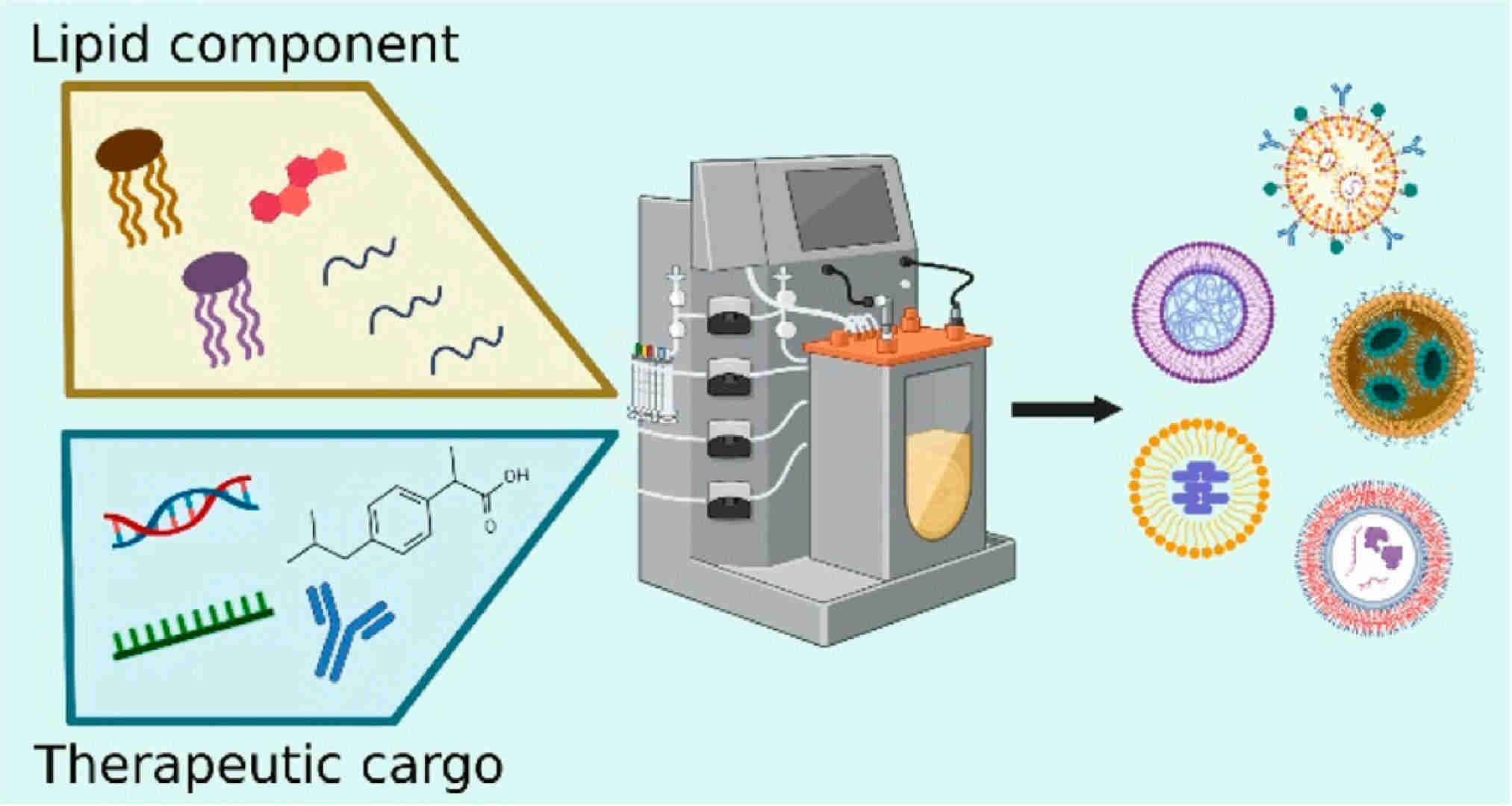 Fig.3 Lipid nanoparticles for delivering drugs or genes.