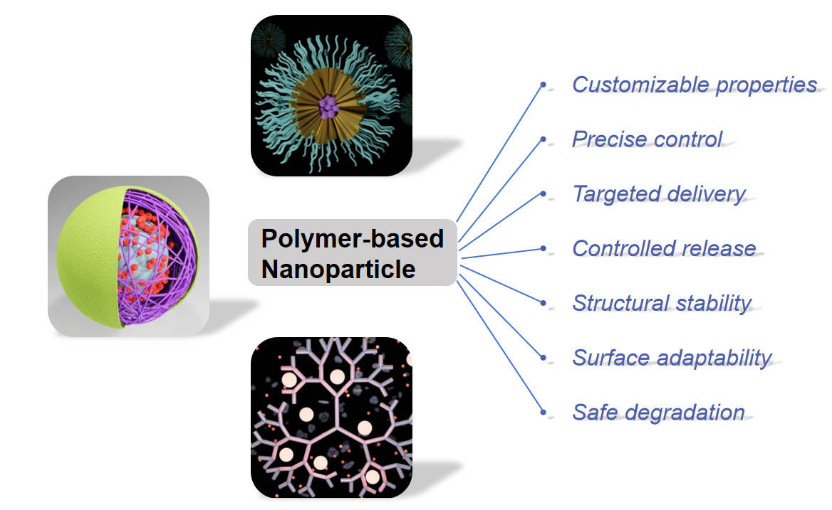 Fig.1 Features of polymer nanoparticles.