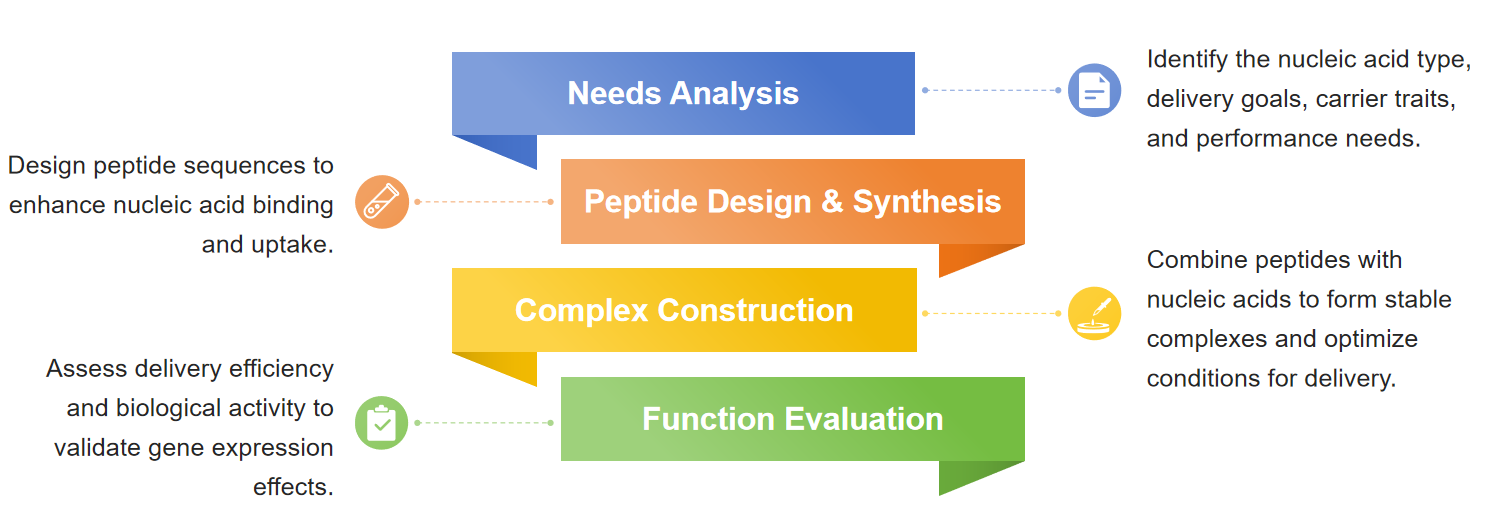 Fig.2 Diagram outlining peptide carrier progression.