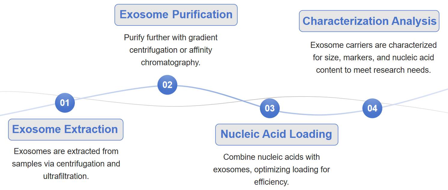 Fig.2 Process diagram for designing exosome carriers.