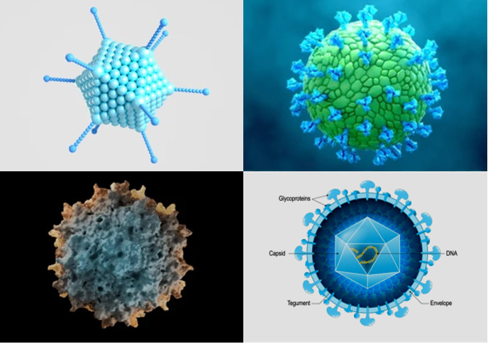 Fig.1 Categories of viral vectors.