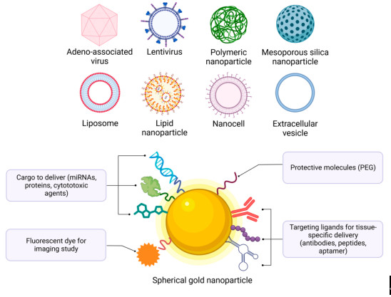 Fig.3 Various delivery mechanisms include viral vectors.