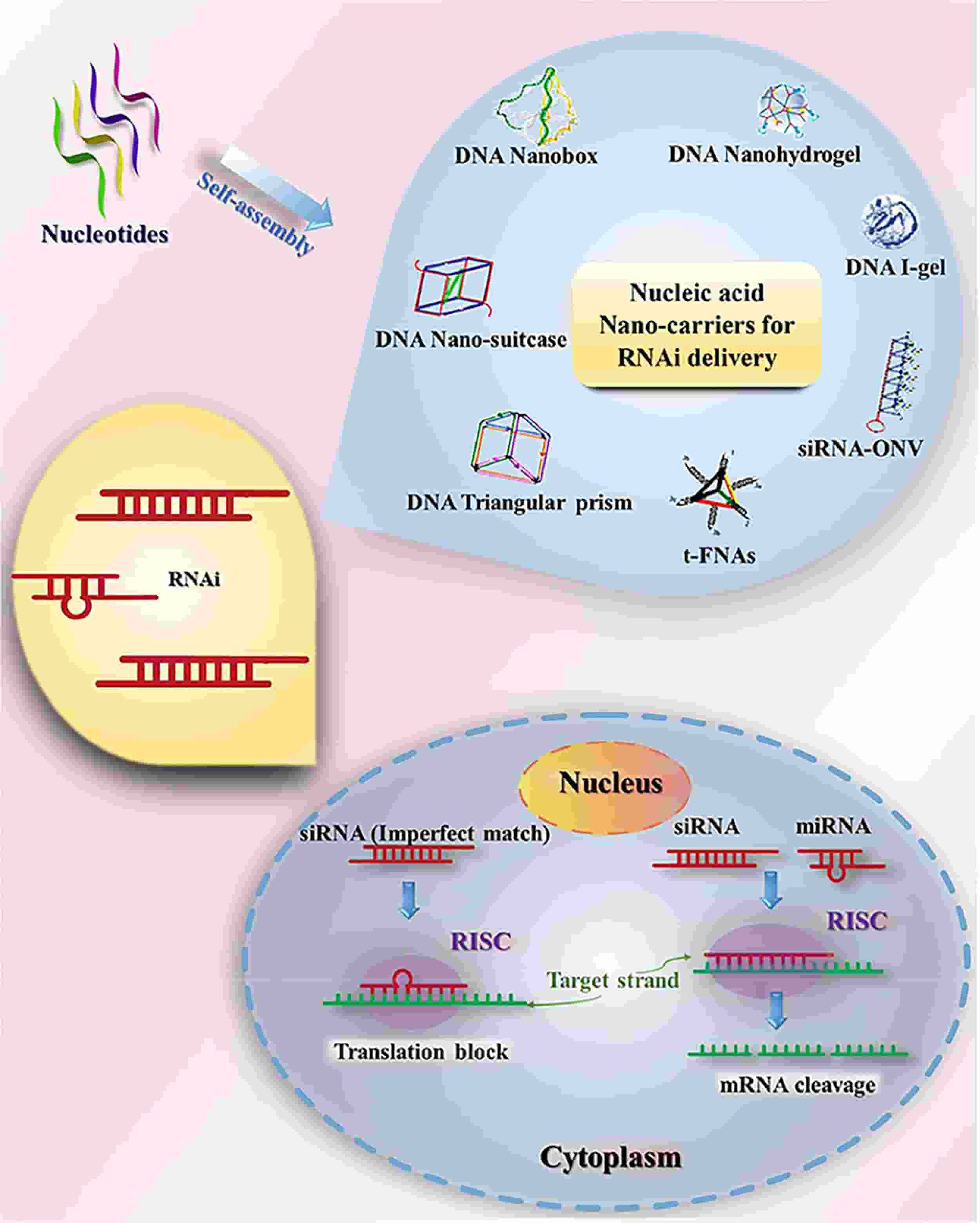 Fig. 3 Schematic diagram of different nanocarriers.