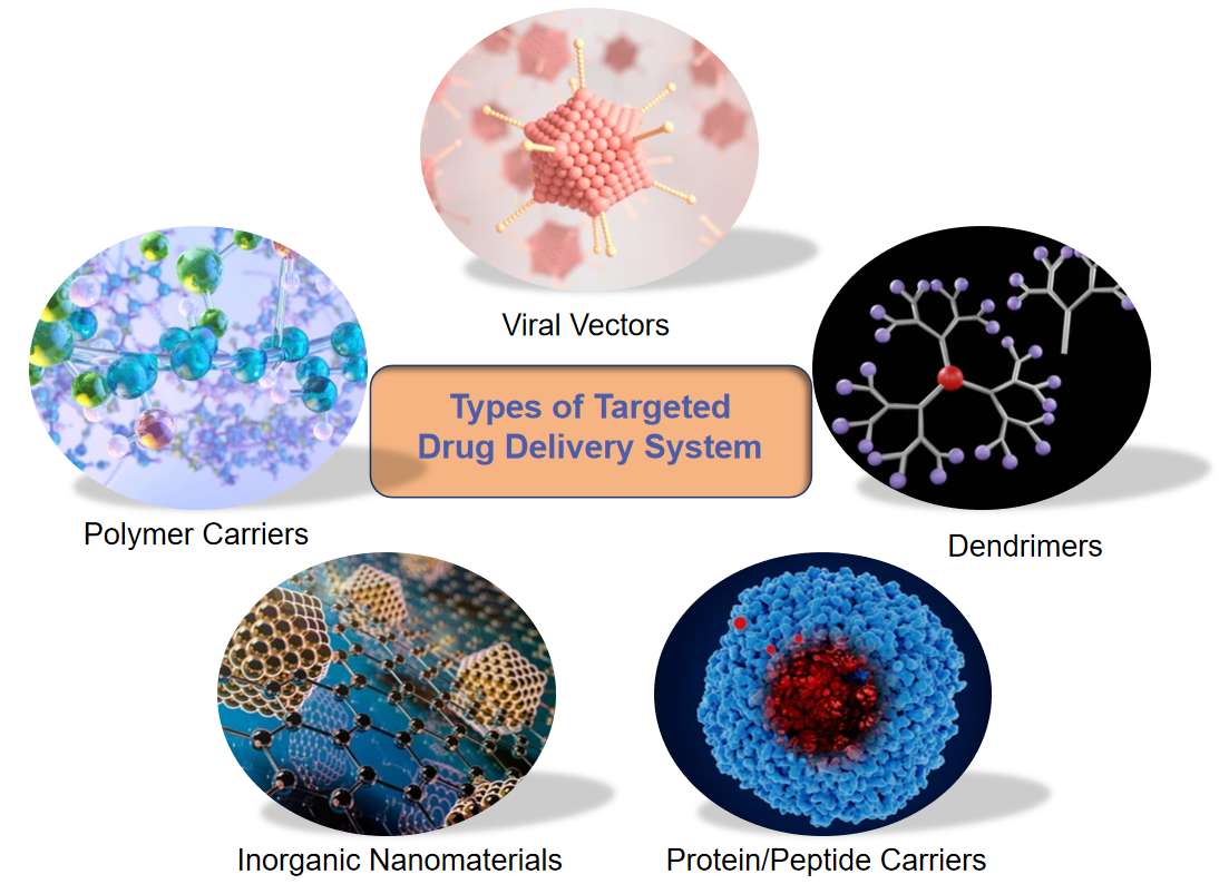 Fig.2 Types of targeted drug delivery systems.