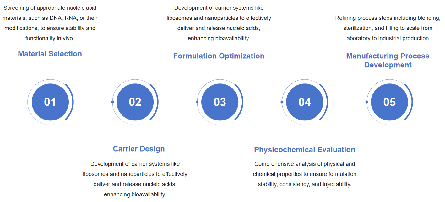 Fig.1 Injectable nucleic acid formulation development flow diagram.