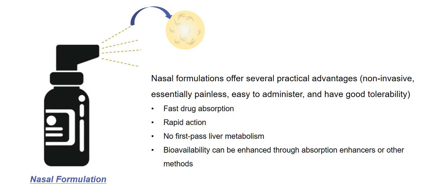 Fig.1 Features of nasal nucleic acid formulations.