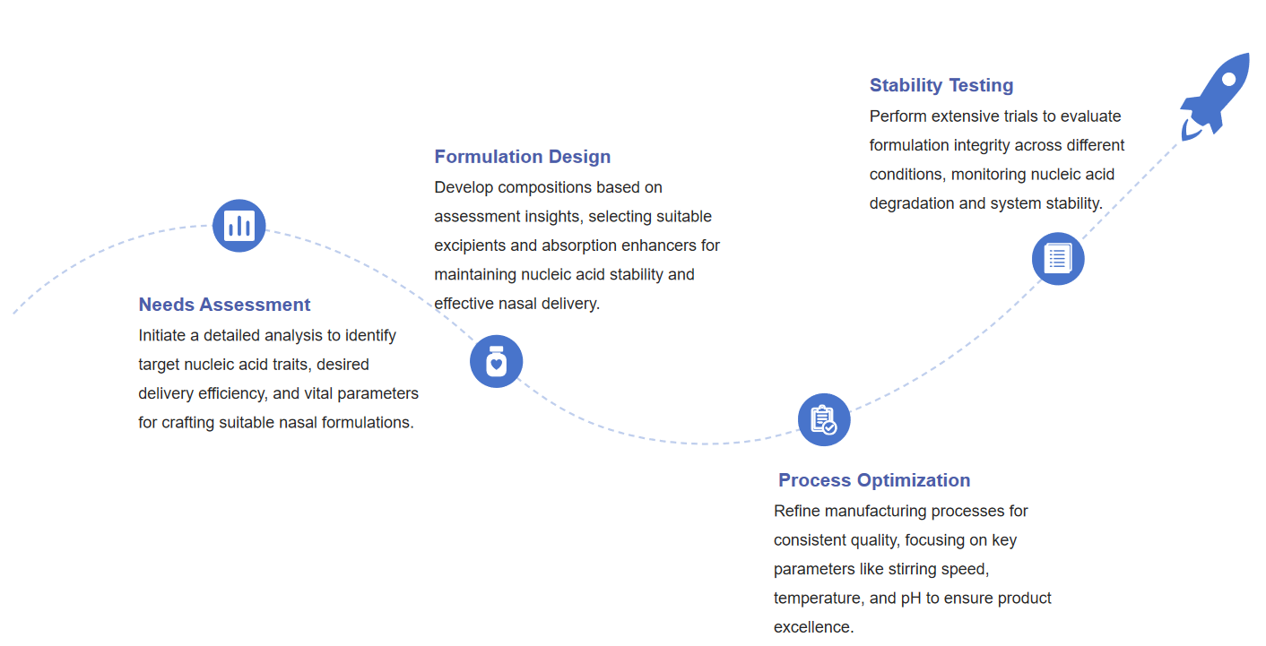 Fig.2 Diagram illustrating the development process for nasal nucleic acid formulations.