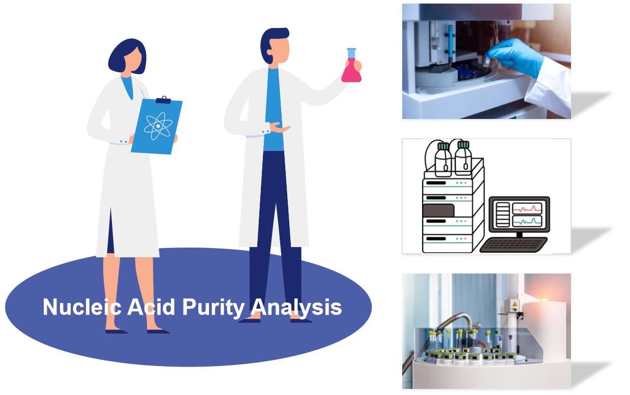 Fig.1 Diagram illustrating the process of nucleic acid drug analysis.