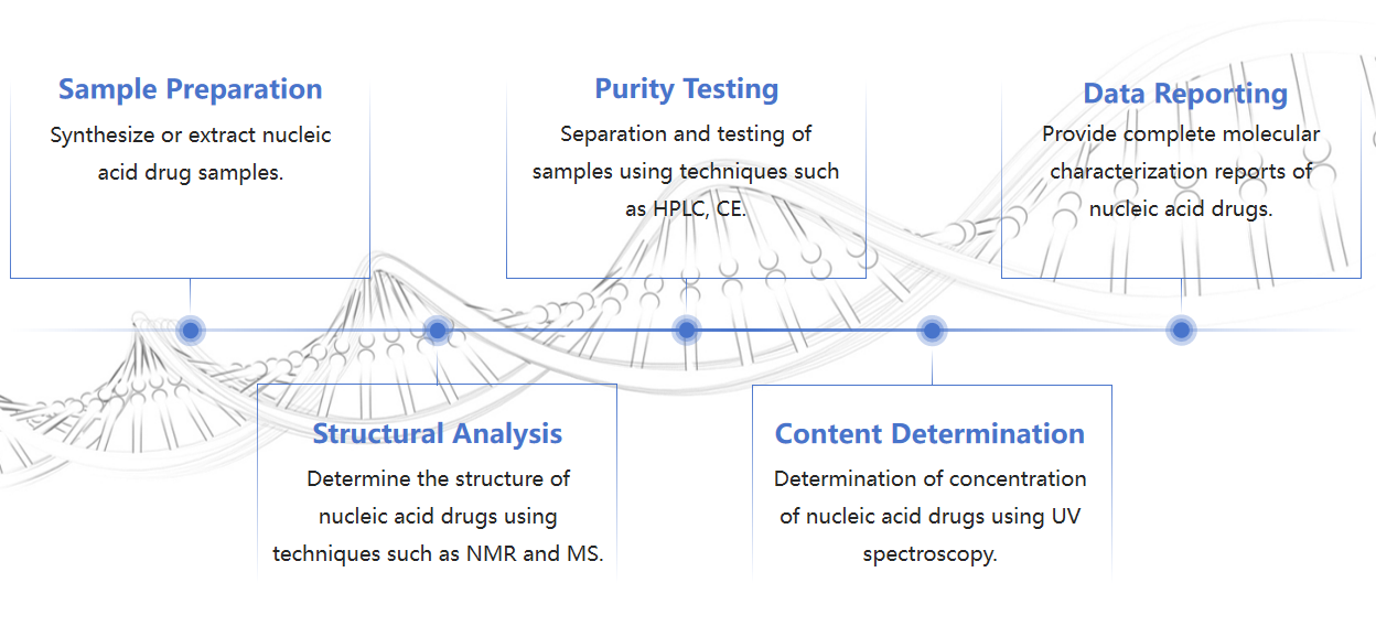 Fig.1 The process of identifying nucleic acids.