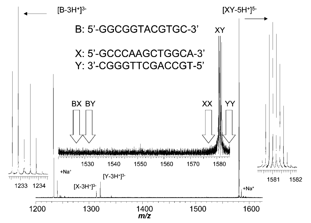 Fig. 2 ESI-FTICR-MS analysis of nucleic acids.