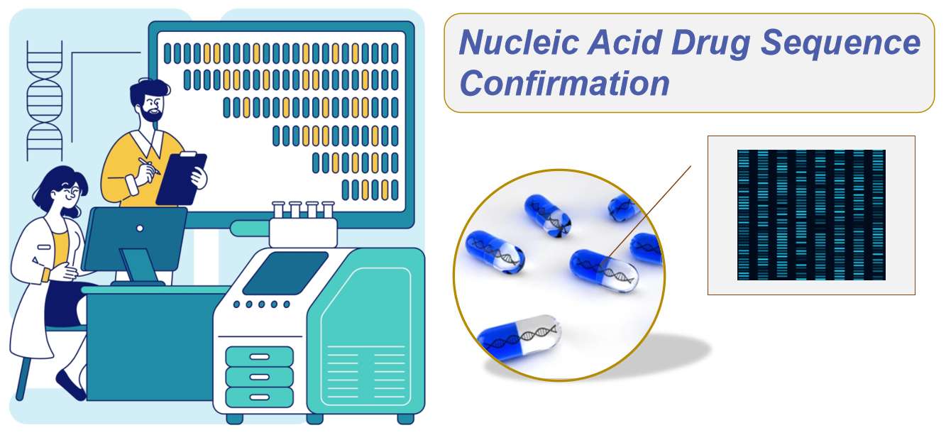 Fig.1 Sequence validation services for nucleic acid therapeutics.