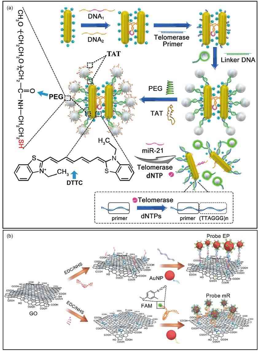 Fig.3 Notable instances of analyses targeting non-nucleic acid substances.