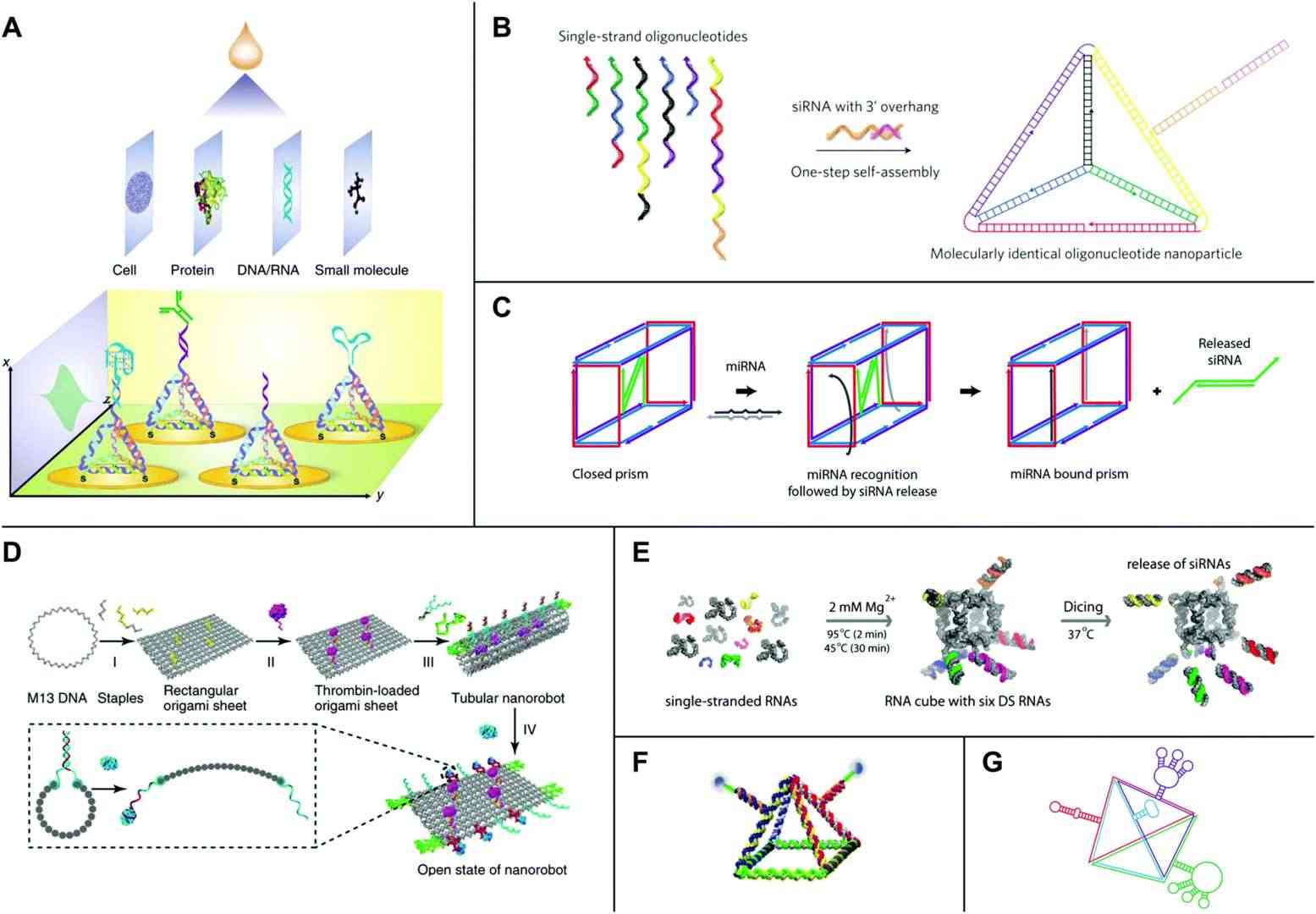 Fig.2 Advanced nucleic acid structures utilized in biosensing and drug delivery.