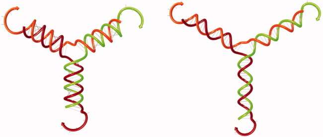 Fig. 2 Secondary structure analysis