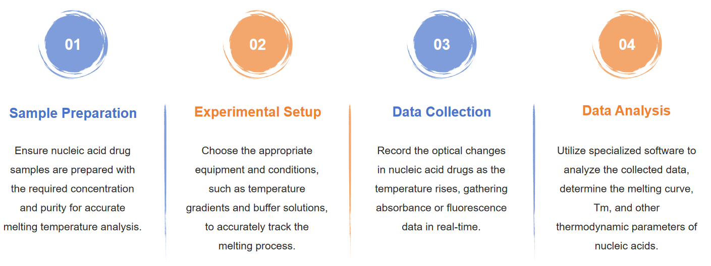 Fig.1 Flowchart illustrating the melting temperature of nucleic acid therapeutics.