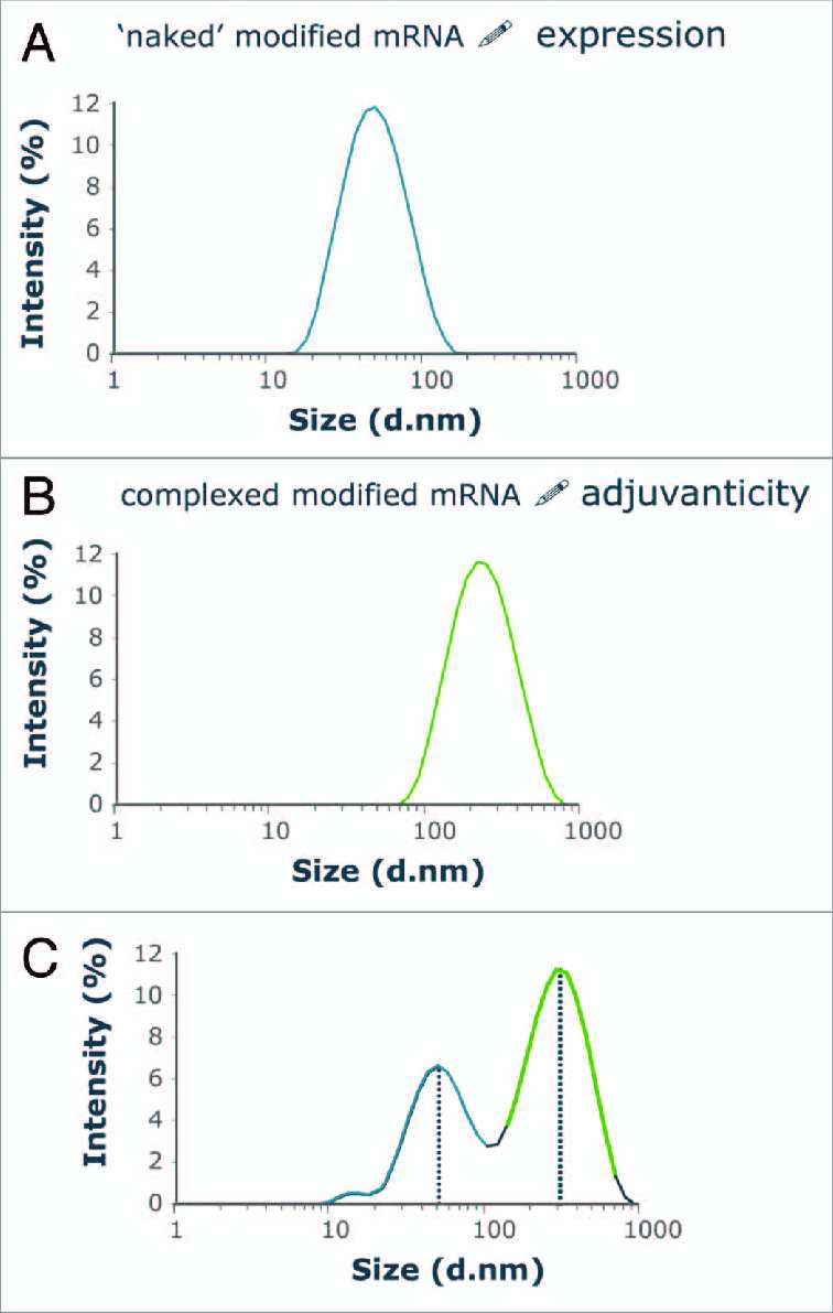 Fig.3 Examination of particle sizes in RNA vaccines.