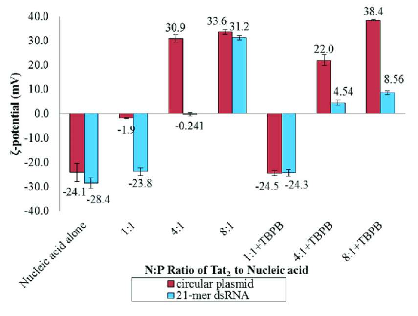 Fig.2 Analysis of the Zeta potential of circular plasmid and dsRNA specimens.