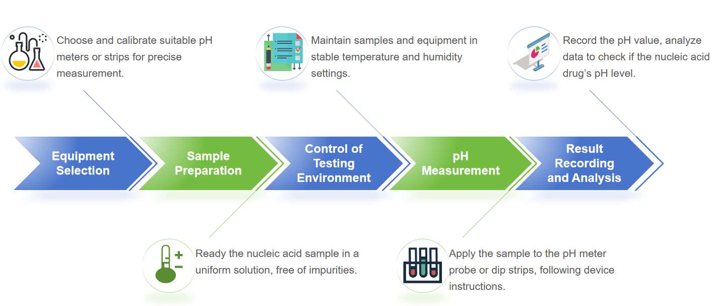 Fig.2 Workflow for analyzing nucleic acid drugs pH testing.