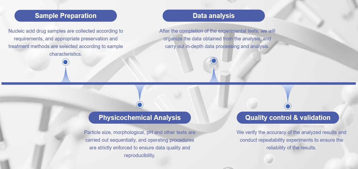 Fig. 2 Nucleic acid drug physicochemical identification service process.