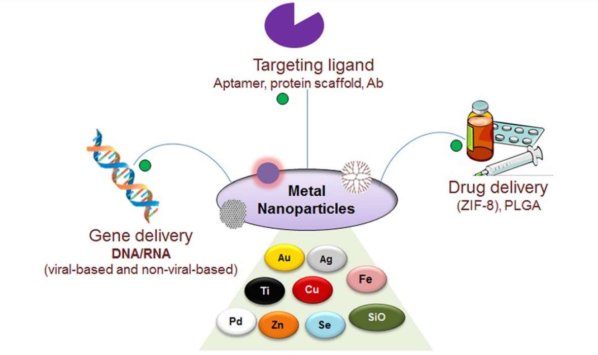 Fig.3 Latest progress in using metal-based nanoparticles for delivering nucleic acids.