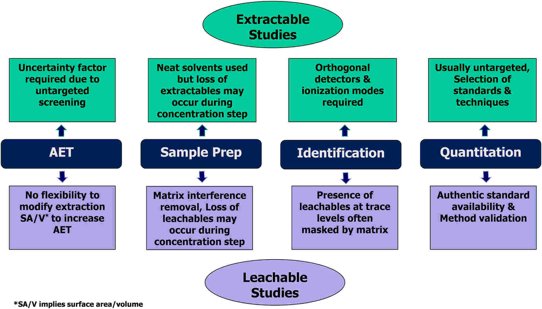 Fig.3 Diagram illustrating the process for analyzing extractables and leachables in nucleic acid medications.