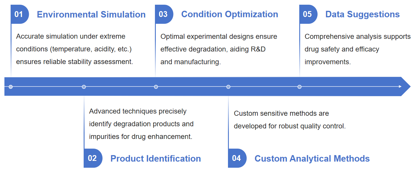 Fig.1 Diagram outlining the process for forced degradation analysis in nucleic acid drugs.