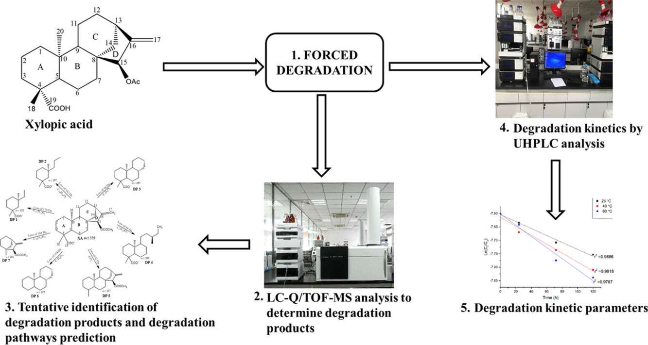 Fig.2 Investigation of lignoceric acid through forced degradation evaluations.