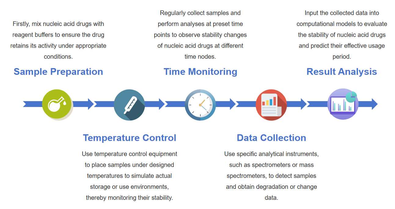 Fig.1 Diagram illustrating the process for analyzing the stability of nucleic acid drugs in real-time.