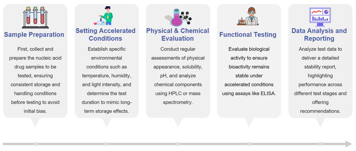 Fig.1 Flow diagram illustrating accelerated stability testing for nucleic acid pharmaceuticals.