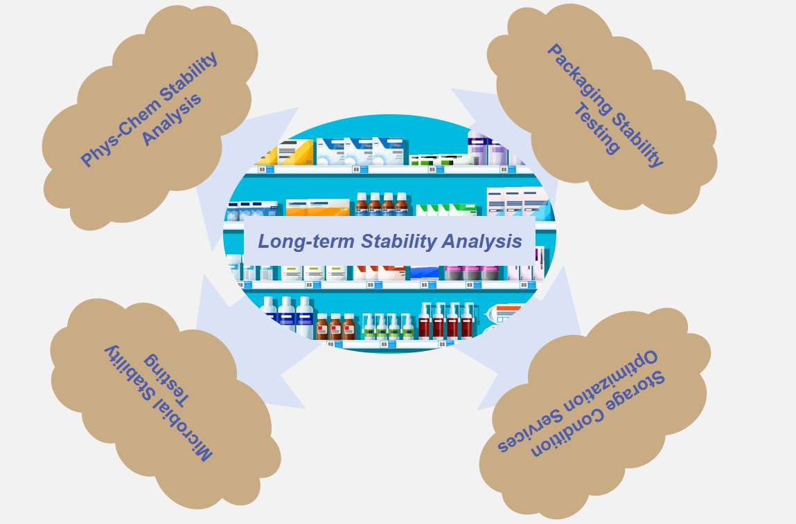 Fig.1 Analysis of the enduring stability for nucleic acid drugs.