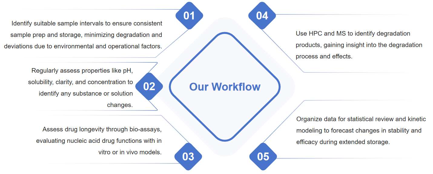 Fig.2 Diagram illustrating the process of assessing long-term stability in nucleic acid drugs.