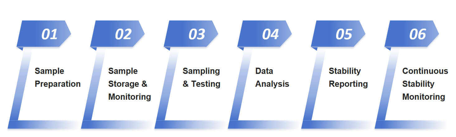 Fig.2 Analysis of nucleic acid drugs' stability workflow.