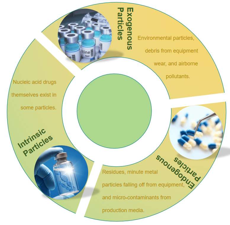 Fig.1 Categories of particulate matter present in nucleic acid drugs.