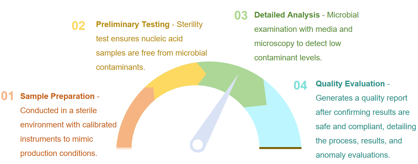 Fig.2 Flowchart illustrating the sterility testing process for nucleic acid drugs.