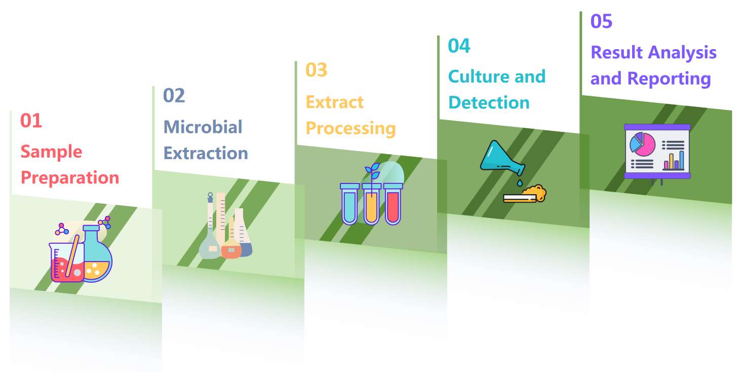 Fig.1 Nucleic acid drug bioburden testing flowchart.