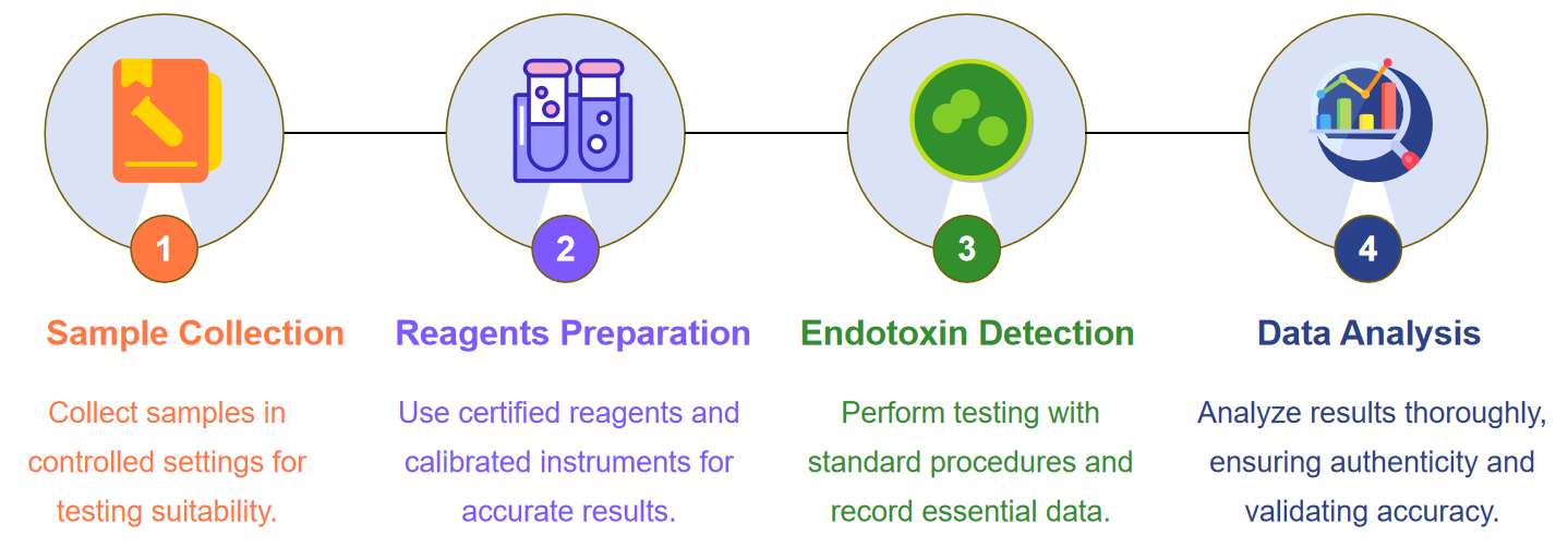 Fig.1 The flowchart shows the steps for endotoxin testing in nucleic acid drugs.