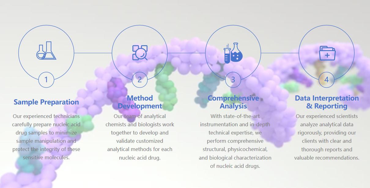 Fig.2 Nucleic acid analysis process.