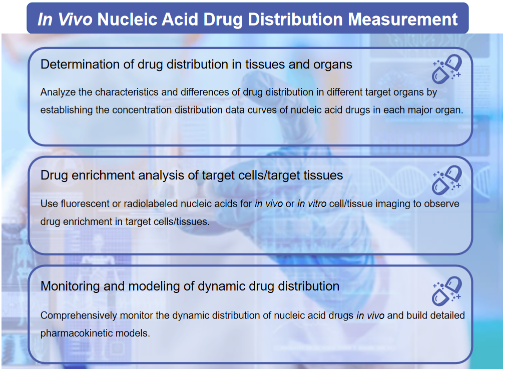 Fig.1 In vivo nucleic acid drug distribution assay content description.