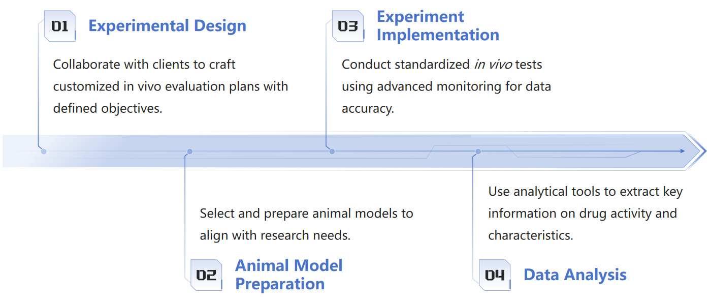 Fig.1 In vivo activity evaluation process for nucleic acid drugs.