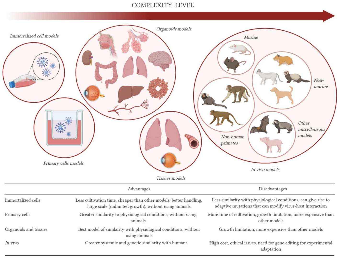 Fig.2 Benefits and drawbacks of each model.