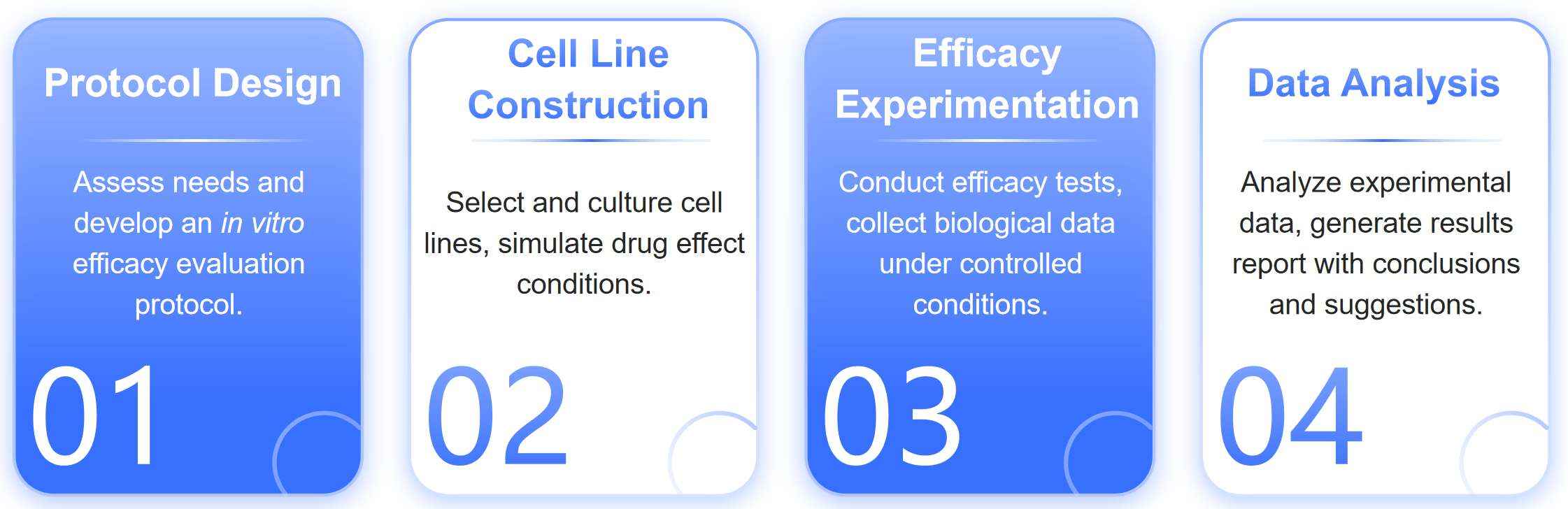 Fig.1 Flow chart for assessing in vitro efficacy of nucleic acid drugs.