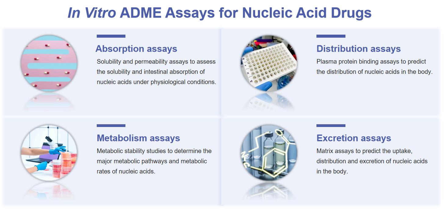 Fig.1 What is in in vitro ADME assays.