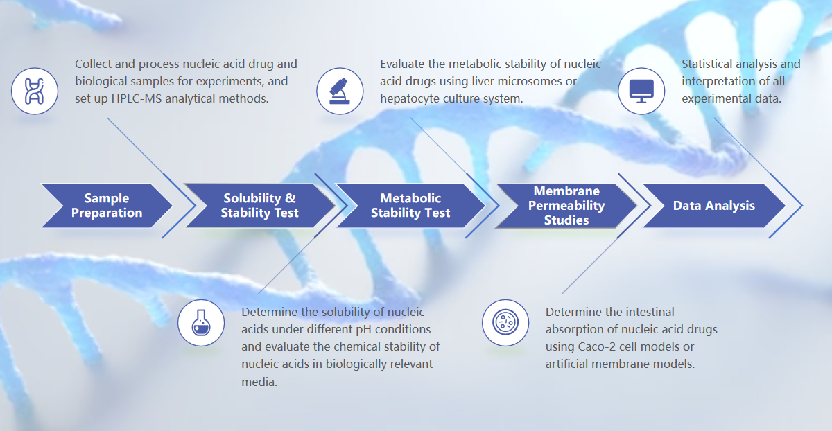 Fig.2 In vitro ADME analysis process. 