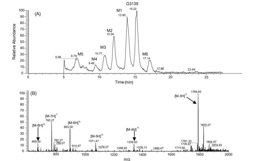 Fig.2 Identification of the metabolites.