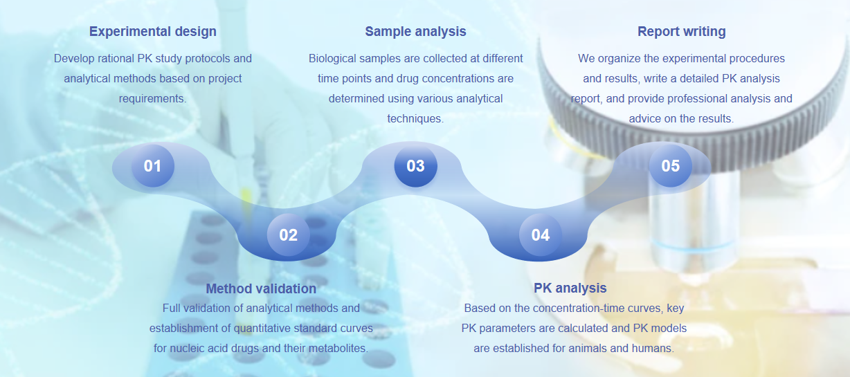 Fig.2 Workflow of nucleic acid PK analysis.