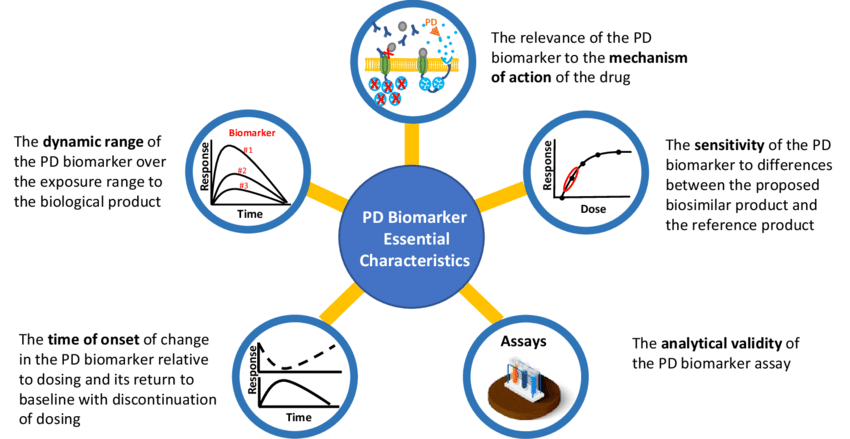 Fig.3 Pharmacodynamic assays for drugs